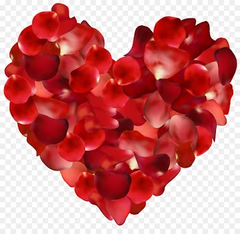 Centifolia roses Petal Flower Clip art - Rose Heart Cliparts 