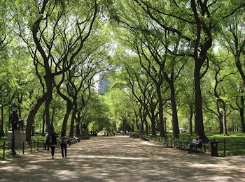 Central_Park.jpg