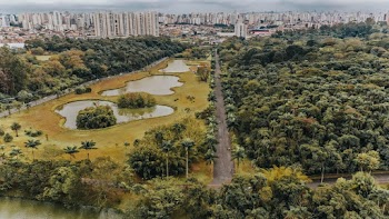Central Park, New York