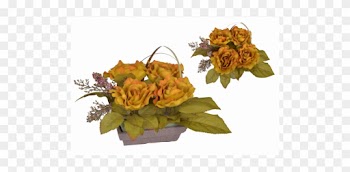 Centro 3003 - Garden Roses