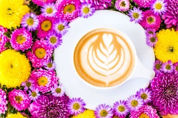 ceramic tea cup on white saucer surrounded by purple flowers