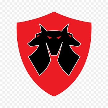 Cerberus S.C.S. Ltd Logo Works, Inc. Image Security - fsb mockup 