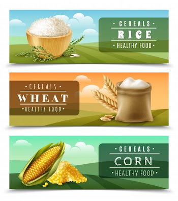 Cereals banner set template Free Vector