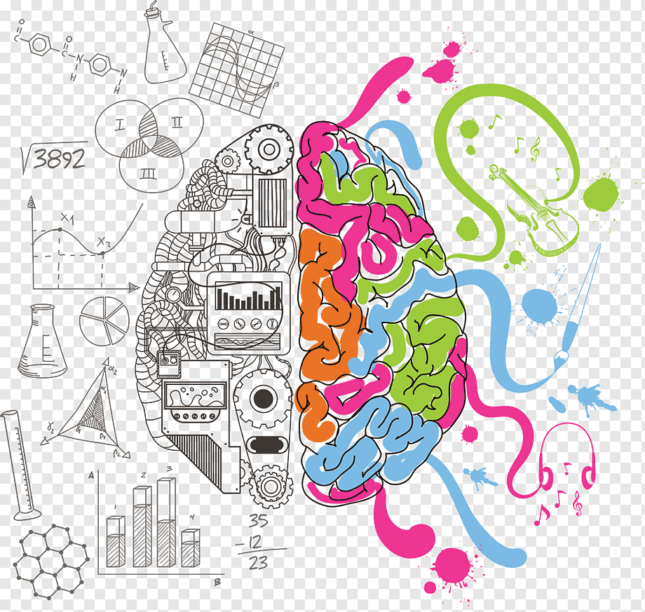 Cerebral hemisphere Creativity Brain Advertising, Brain, child, text, people png