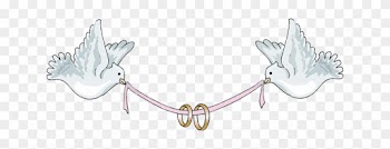 Ceremony Clipart Wedding Love Bird - Dove With Ring For Wedding
