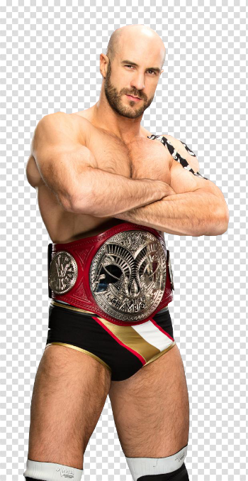 Cesaro PNG Free Download