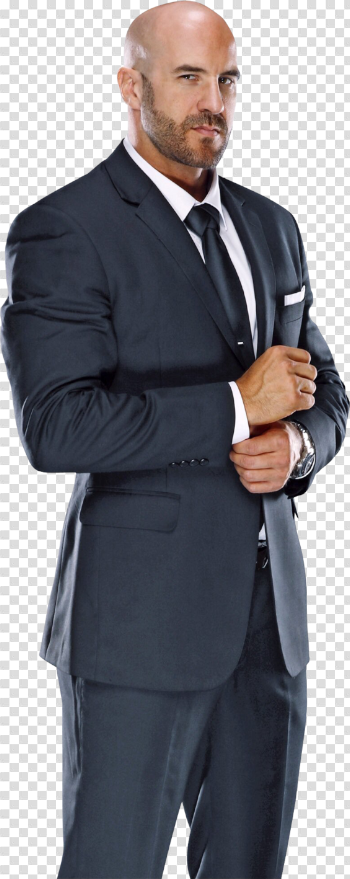 Cesaro PNG High-Quality Image