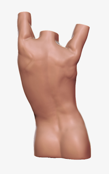 Cg Painting Female Body Back, Beauty Back, Female, Back PNG ...