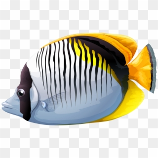 Chaetodon Fish Png Clipart Image - Under Sea Fish Png, Transparent ...