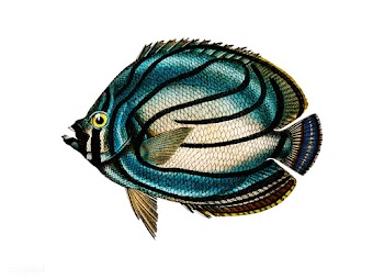 Chaetodon meyeri illustrated by Charles Dessa.. | Free stock vector - 467630