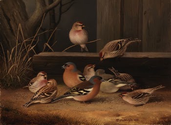 Chaffinches and redpolls, 1868, by Ferdinand | Free Photo - rawpixel