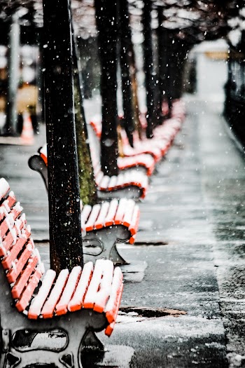 Chairs Covered in Snow
