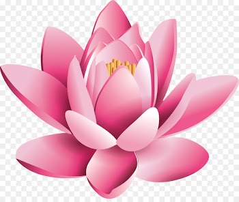 Chakra Manipura Hinduism Energy - lotus flower 