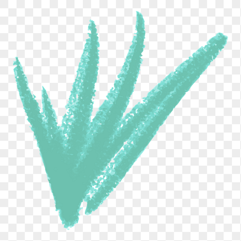 Chalky bush png sticker, transparent | Free PNG Illustration - rawpixel