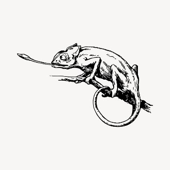 Chameleon clipart, vintage hand drawn | Free Vector - rawpixel
