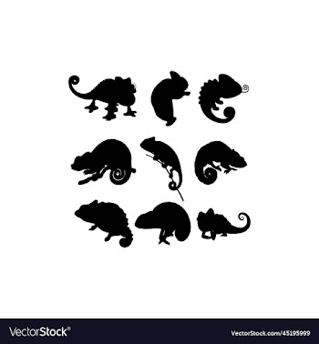 chameleon set logo icon design
