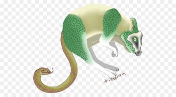 Chameleons Gerbil Lizard FriEND FOR YOURSELF Adoption - gerbil ribbon 