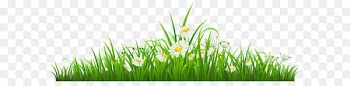 Chamomile Clip art - Transparent Grass with Chamomile PNG Clipart 