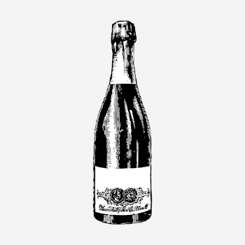 Champagne bottle hand drawn illustration. | Free Photo - rawpixel