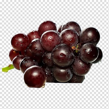 Champagne Juice Sparkling wine Grape, Black grapes transparent background PNG clipart