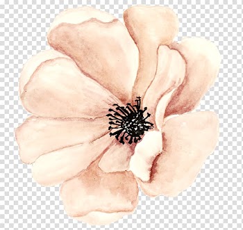 Champagne Sparkling wine Rosxe9, Champagne Flowers transparent background PNG clipart