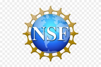 Champaign, Il Twenty Two Students Currently Enrolled - National Science Foundation Logo Png