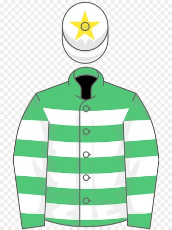 Champion Hurdle Horse Galway Hurdle The Grand National Arkle Novice Chase - horse 