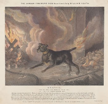 Chance. The London Firemen's Dog | Free Photo - rawpixel