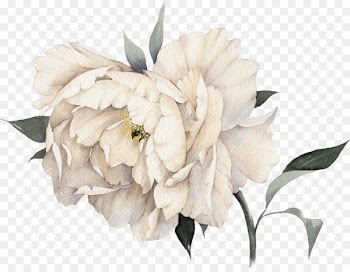 Chanel No. 5 Coco Mademoiselle Perfume - Light pink peony flowers 