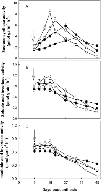 Changes in activities of SuSase (A), soluble AI (B), and insoluble ...