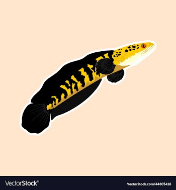 channa logo art icons and graphics