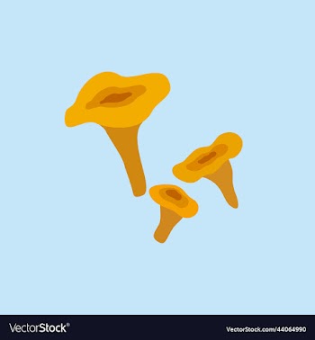 chanterelles on blue background