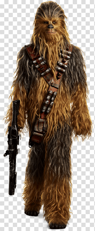 Characters of SOLO A Star Wars Story – The Mighty Chewbacca ...