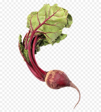 Chard Beetroot Vegetable Download - Purple beet 