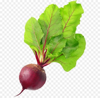 Chard Beetroot Vegetable Food Vegetarian cuisine - Beet PNG 