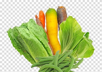 Chard Vegetable Crops Aspehorti Bali Fruit, vegetable transparent background PNG clipart