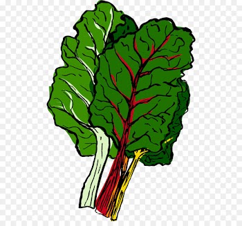 Chard Vegetable Food Autumn Leaf - vegetable 