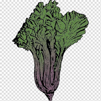 Chard , vegetable transparent background PNG clipart