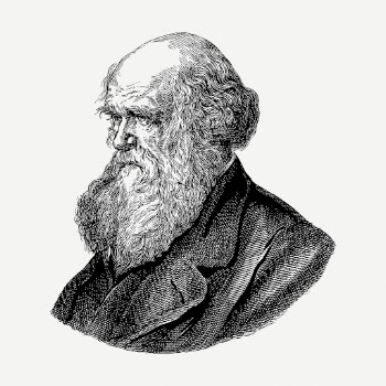 Charles Darwin drawing clipart, scientist | Free PSD - rawpixel