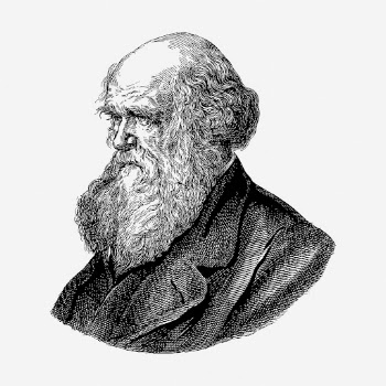 Charles Darwin hand drawn illustration. | Free Photo - rawpixel