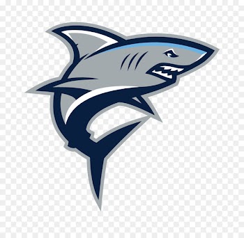 Charles J. Colgan Sr. High School Manassas Gar-Field Senior High School Gulf Coast High School National Secondary School - sharks 