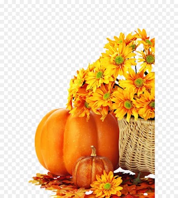 Charlie Brown Pumpkin Facebook Autumn Eggnog - pumpkin 