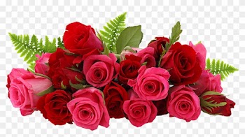 Charlie Rose Cupid Dating - Rose Png Images Hd