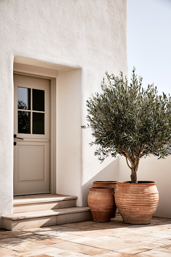 Charming Entrance with Olive Tree and Terracotta Pots