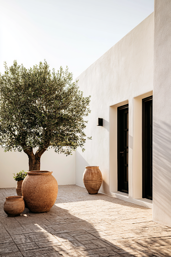 Charming Entrance with Olive Tree and Terracotta Pots