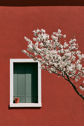 Charming Outdoor Scene with Cherry Blossoms and Textured Red Wall