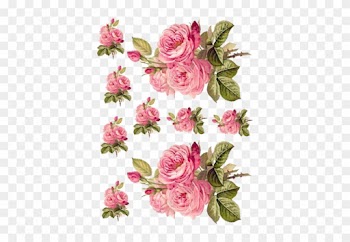 Charming Redoute Roses Shabby Waterslide Decals *furniture - Rose Decoupage Paper