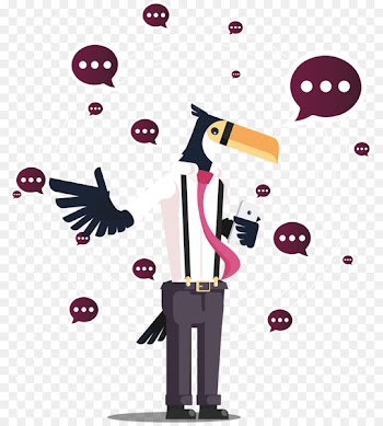 Chatbot Email WhatsApp Bulk messaging - Bulk Messaging 