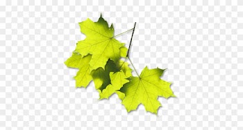 Chateau - Leaf