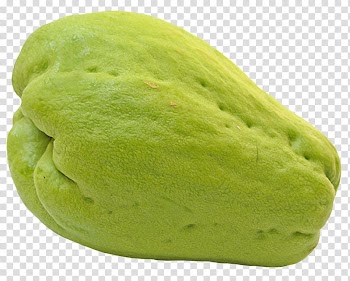 Chayote Pumpkin , Chayote or Choko transparent background PNG clipart
